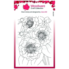 woodware craft clear stamp zinnia