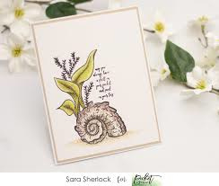 Picket Fence studios nautilus shell scene