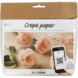 creative mini hobbyset crepepapier anjer