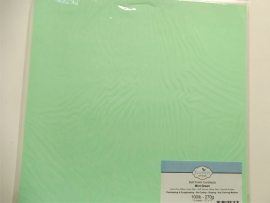 Elizabeth Craft cardstock  soft finish  mint green