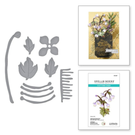 Chinese Meadow Rue Snijmal – Fijnbloemig detail van Spellbinders Susan's Garden