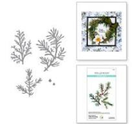 spellbinders cutting die Winter Evergreen Foliage and ladybugs