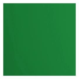florence acacia cardstock glad  2928-079 florence