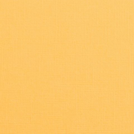florence honey 2928-006 cardstock