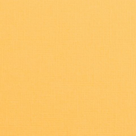 florence honey 2928-006 cardstock