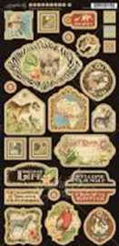 Graphic 45 chipbord safari 2 collection