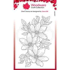 woodware craft clear stamp garden spray