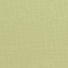 florence  salamander cardstock met textuur  2928-081