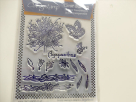 JAYNE'S BIJOU AGAPANTHUS A6 STAMP SET 142