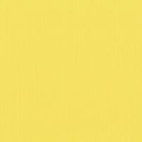 florence lemon-2928-005 cardstock