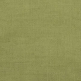 florence acacia cardstock glad  2928-079 florence