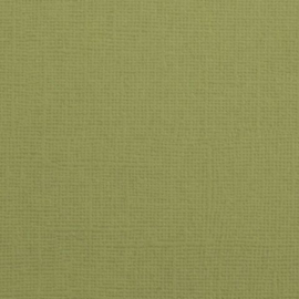 florence acacia cardstock glad  2928-079 florence