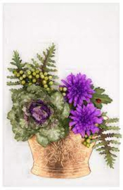 ornamental cabbage & kale
