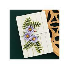 Die Spellbinders aster