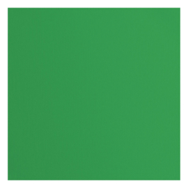 Florance cardstock  lime  2928-068