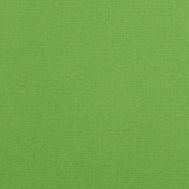 florence frog  cardstock structuur glad 2928-075 florence