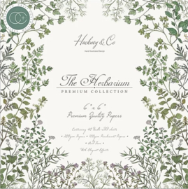The Herbarium 6x6" paper pad premium collection Craft Consortium