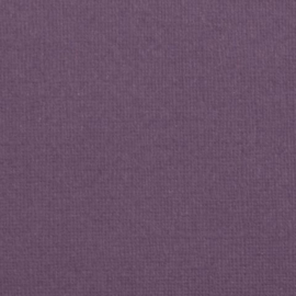 florence  clematis 2928-040 cardstock