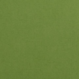 florence  olive  cardstock  met textuur 2928-073 florence