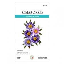 Die Spellbinders aster