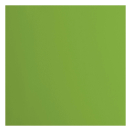 Florance cardstock  lime  2928-068