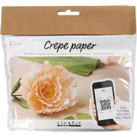 creative mini hobbyset crepepapier pioenroos