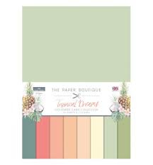 coloured cardstock  collections tropical dream