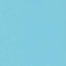 Bazzill Tropical Breeze cardstock 12x12 – stevig karton voor kaarten en scrapbooking