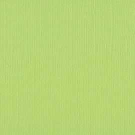 florence acacia cardstock glad  2928-079 florence