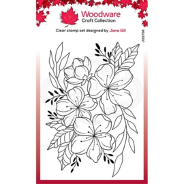 woodware craft clear stamp floral wonder