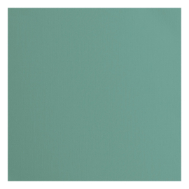 Florance cardstock  lime  2928-068