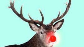 Nuvo Dream Drops Rudolph’s Nose – Magisch rood met een iriserende glans