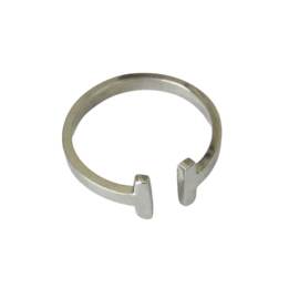 Ring stainless steel double bar