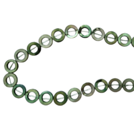 Schelp kraal rond groen