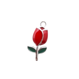 Bedel tulp rood