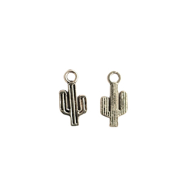 Bedel cactus mini