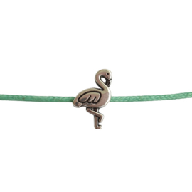 Kraal flamingo