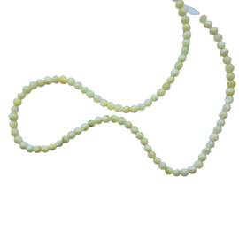 Schelpkraaltje rond pastel lime