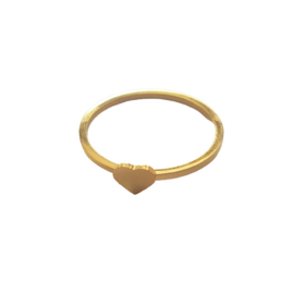 Ring stainless steel hartje goud