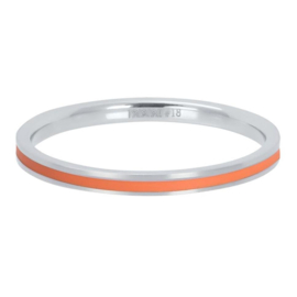 iXXXi | R02315-04 | Vulring Line Coral 2mm - maat 18 - ZILVER