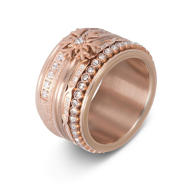 iXXXi | R05804-02 | Vulring Small Circle Stone 2mm - maat 20 - ROSÉ GOLD