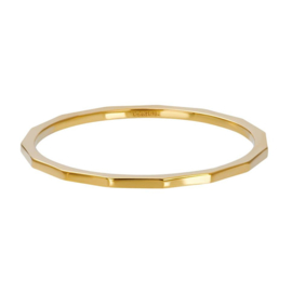 iXXXi | R03903-01 | Vulring Angular 1mm - Maat 18 - GOLD