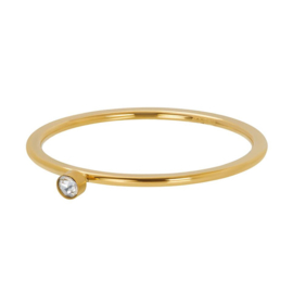 iXXXi | R03905-01 | Vulring Zirconia 1 stone crystal 1mm - Maat 20 - GOLD