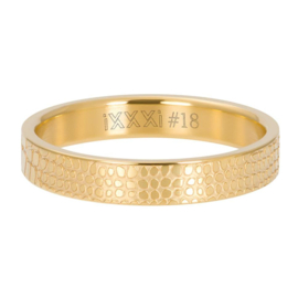 iXXXi | R05408-01 | Vulring Giraffe 4mm - maat 20 - GOUD