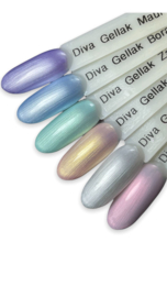 Diva | Bounty Shells Collectie (6x 7,5ml)