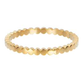 iXXXi | R02810-01 | Vulring Flat Circles 2mm - maat 17 - GOLD