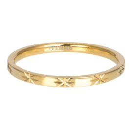 iXXXi | R04902-01 | Vulring Sterre 2mm - Maat 17 - GOLD