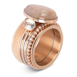 iXXXi | R05704-02 | Vulring Royal Queen Drop Champagne 2mm - maat 16 - ROSÉ GOLD