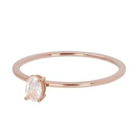 iXXXi | R03911-02 | Vulring Sunshine 1mm - Maat 18 - ROSÉ GOLD