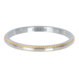 iXXXi | R02809-12 | Double Gear 2mm - maat 20 - GOLD